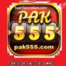 PAK 555 Game