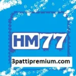 HM77 Game